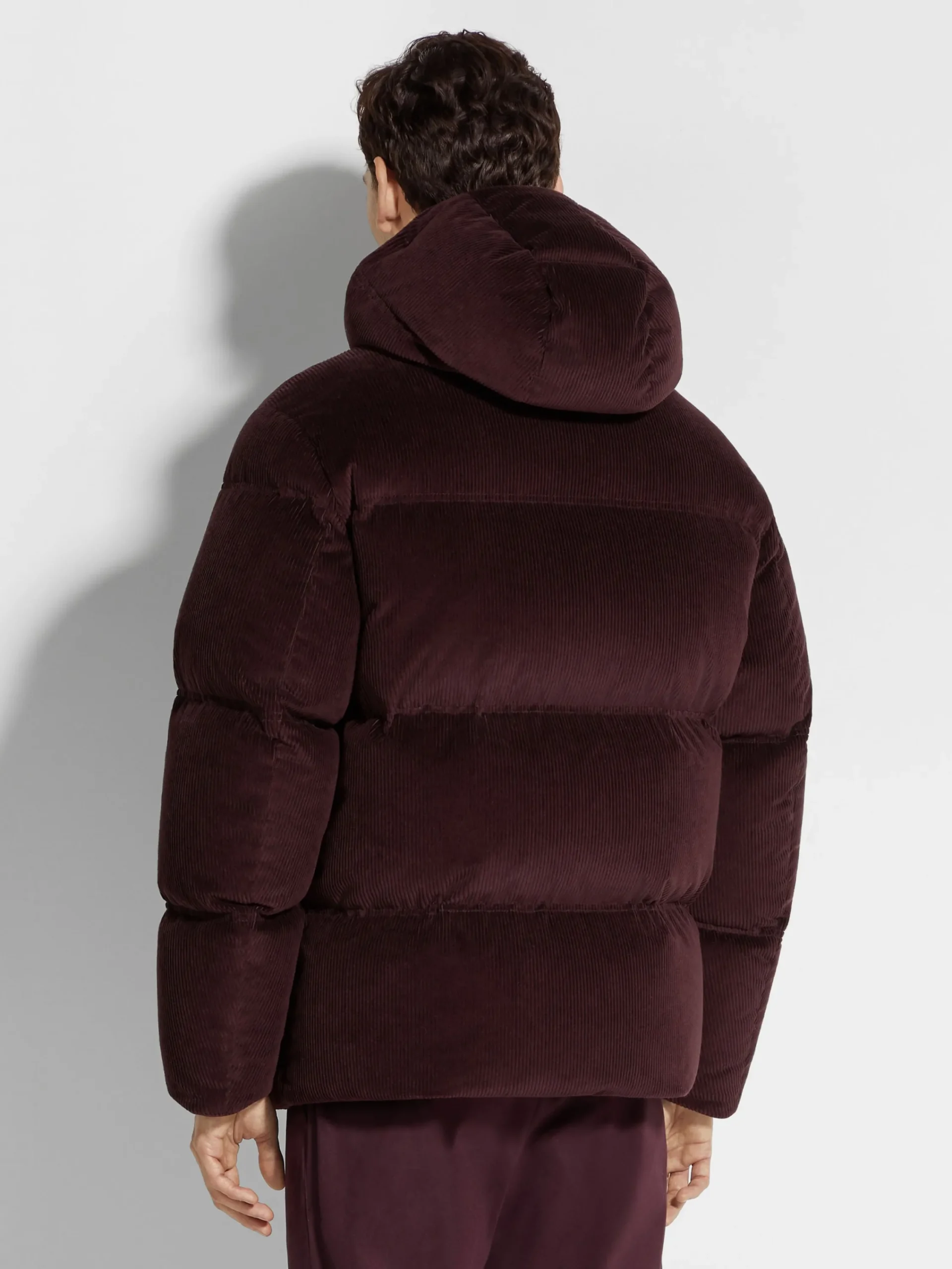 Down Jackets|Jackets And Coats>ZEGNA Cashco Blouson DarkPurple